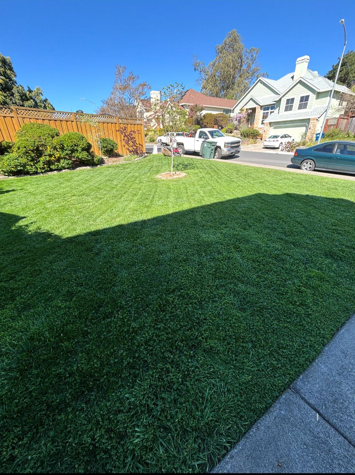 Freshly mowed and striped front lawn in Sonoma County