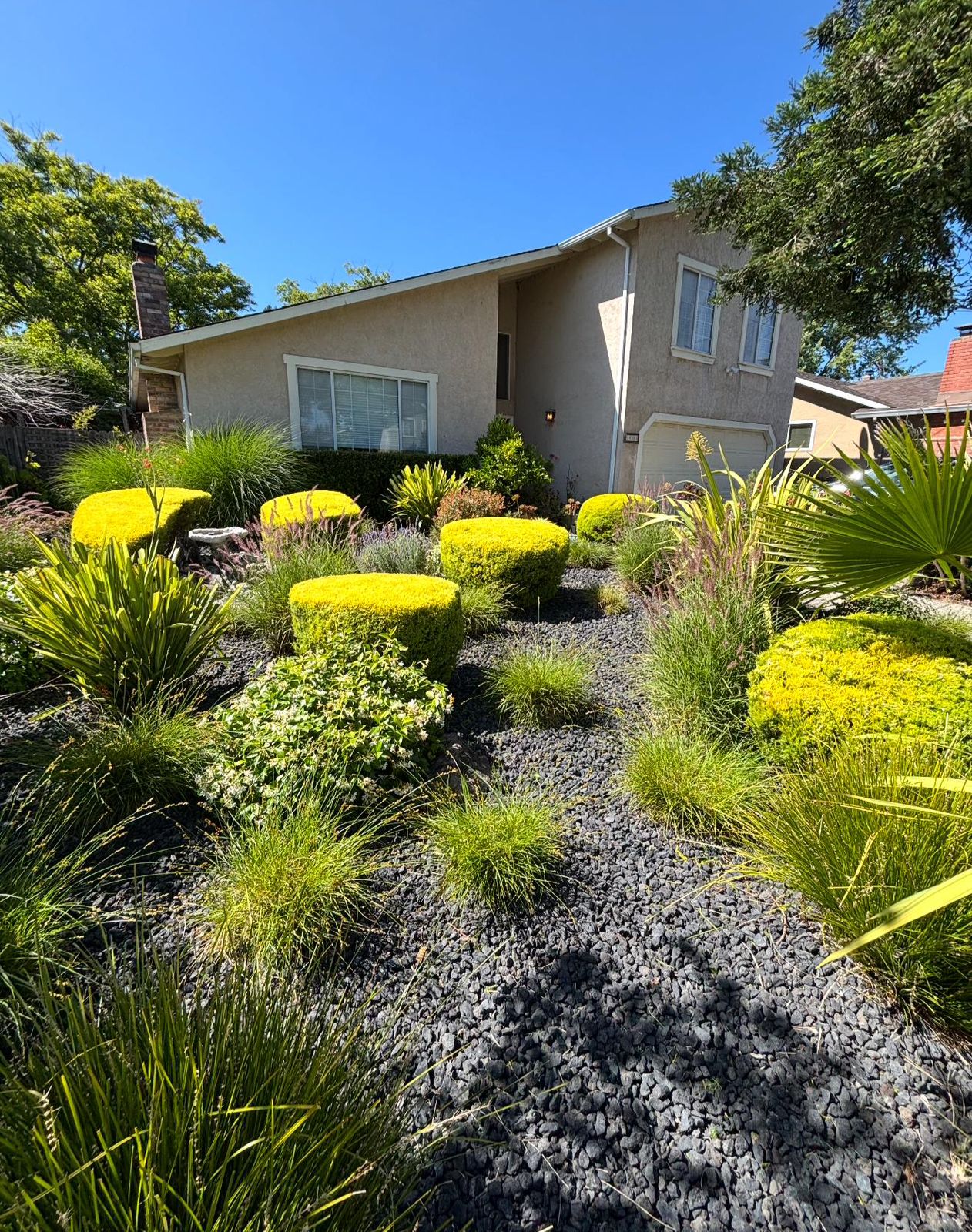 Drought-friendly front garden with grasses, shrubs and lava rock